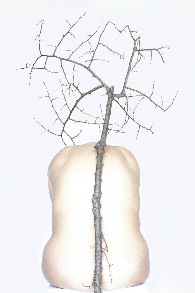 CONCEPTUAL - CINZIA TOSCANO