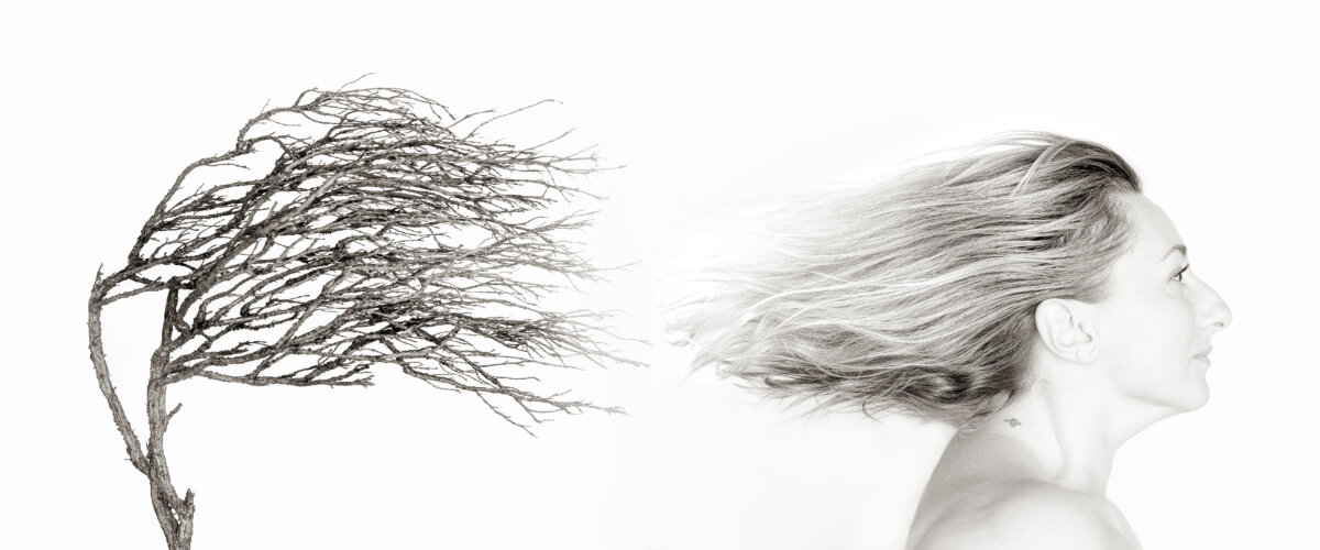 CONCEPTUAL - CINZIA TOSCANO