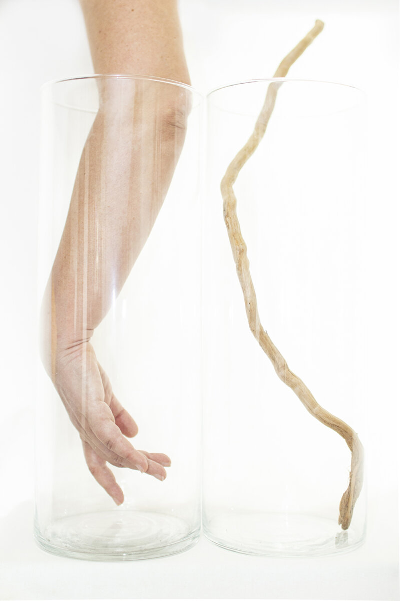 CONCEPTUAL - CINZIA TOSCANO