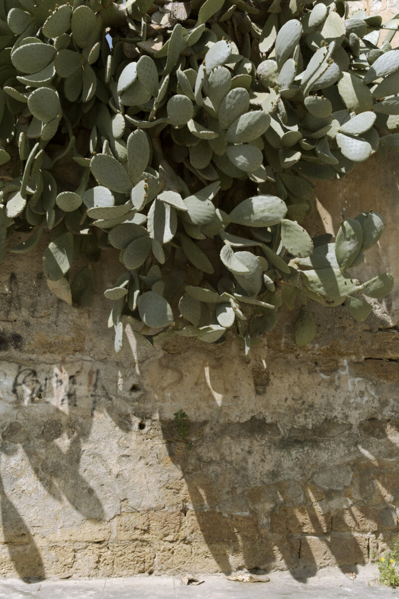 Carusi - CINZIA TOSCANO